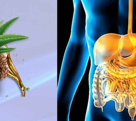 Synogut Review: It Really Works