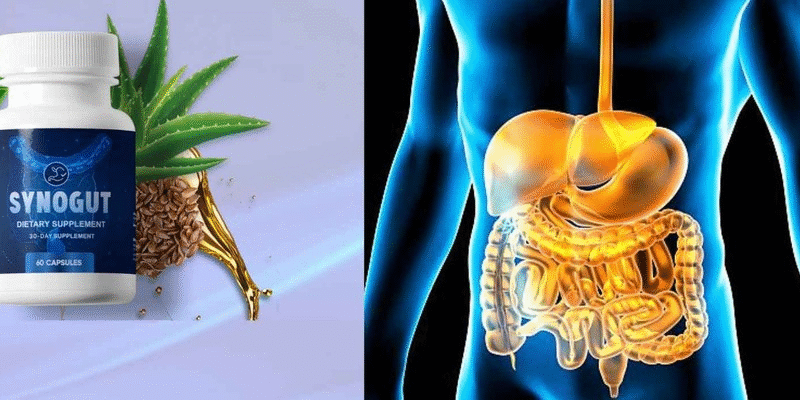 Synogut Review: It Really Works