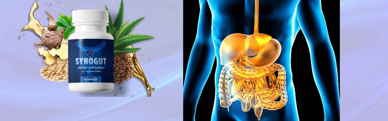 Synogut Review: It Really Works